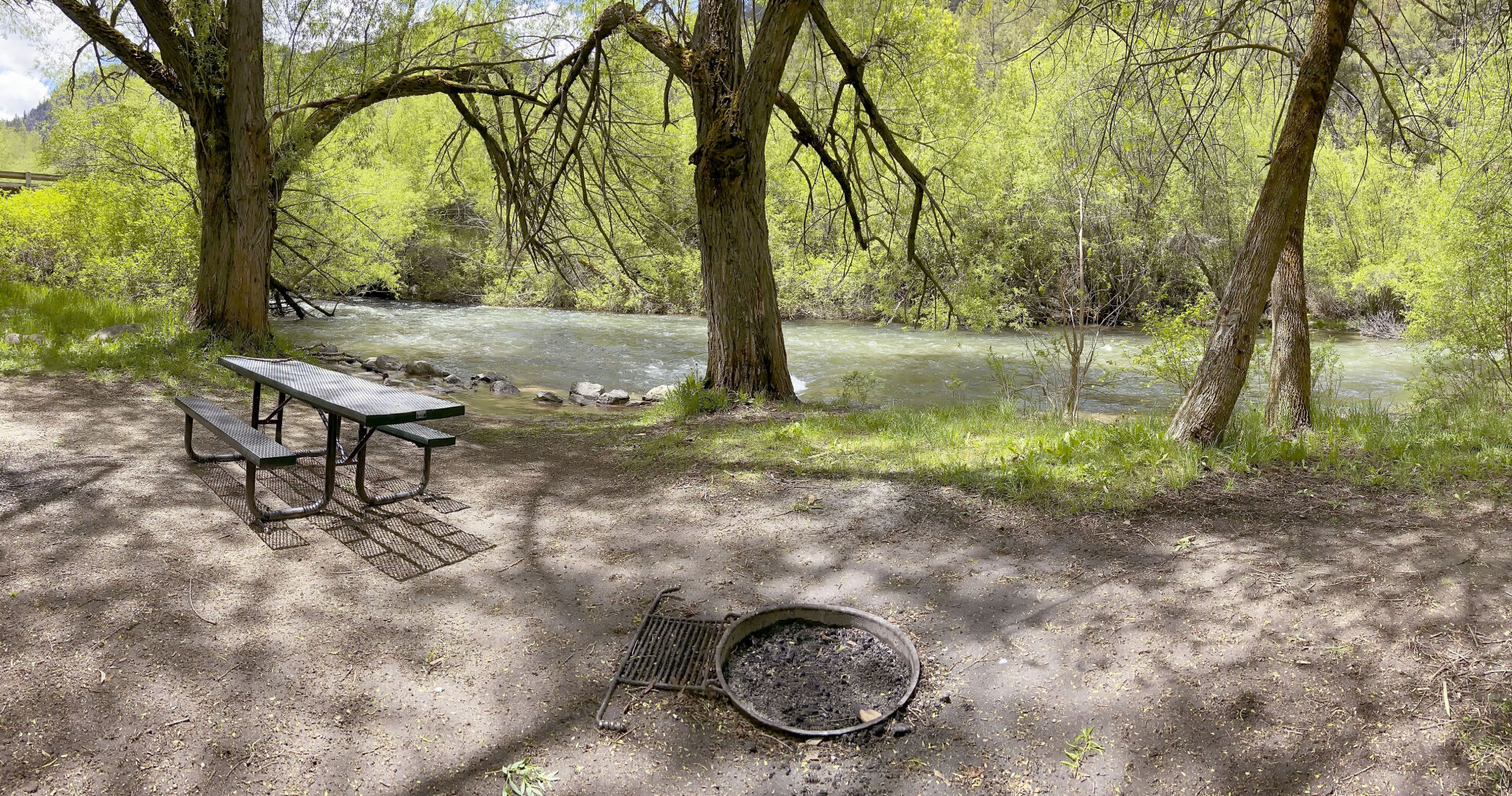 Camping Behavior